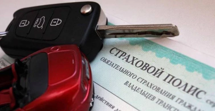 Какие праздники отмечают 6 октября 2023 года: День страховщика, День силы, День чеснока, День церебрального паралича и День защиты мест обитания