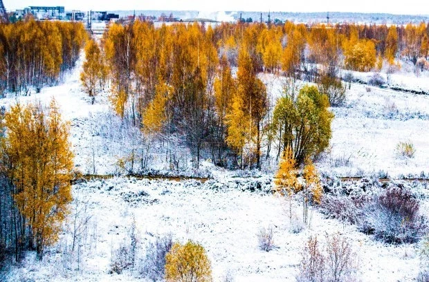 Что можно и что нельзя делать в праздник Сергей Капустник, 8 октября 2023 года
