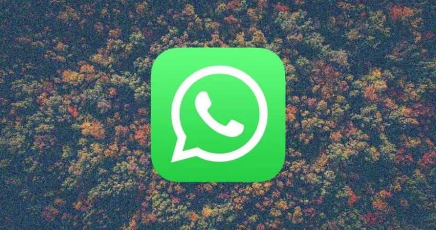 WhatsApp вводит новое правило для всех россиян с 24 октября 2023 года, что это значит