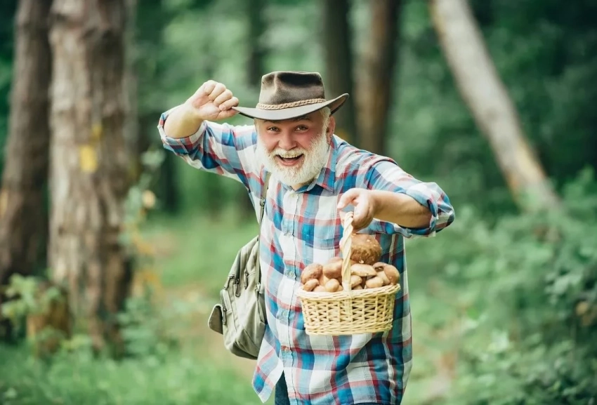 Всемирный день грибника отмечают 3 октября, история праздника и красивые открытки