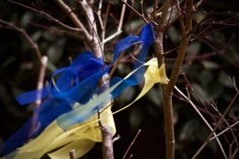 Поддержка Украины странами Запада переходит в стадию депрессии