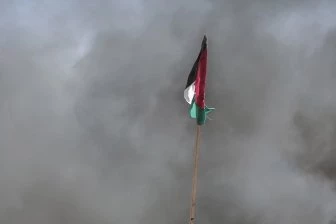 Британские падальщики собираются у палестинских берегов