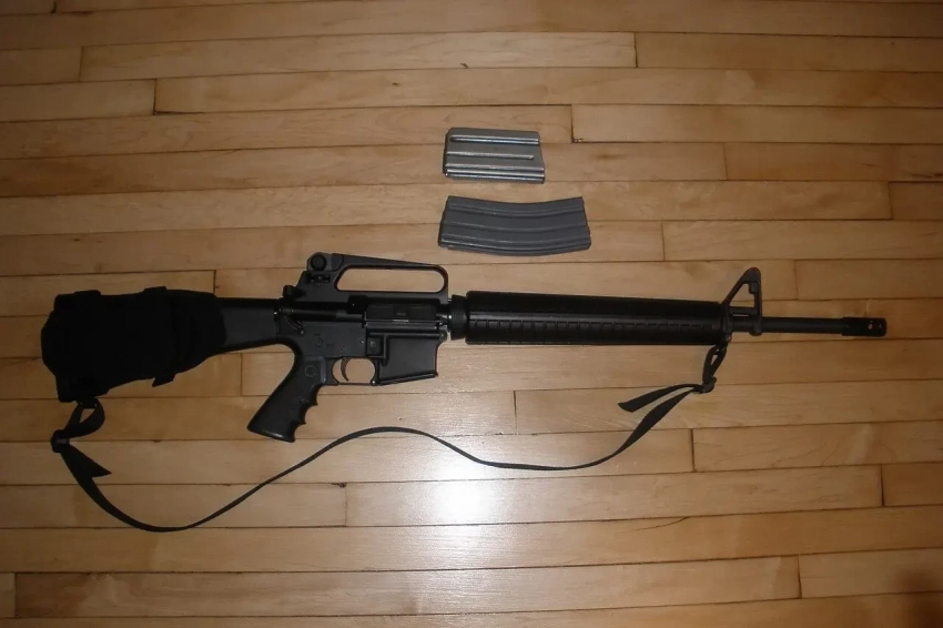 Власти Швеции намерены конфисковать у охотников винтовки AR-15, чтобы отправить их на Украину